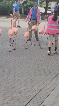 #zoo