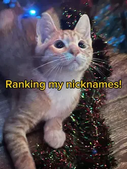 Ranking my nicknames