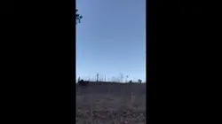sweet bitter