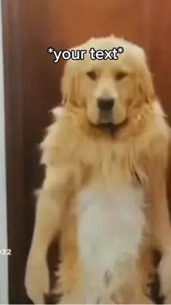 Dancing dog