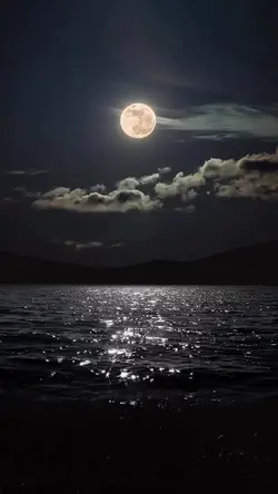 Night