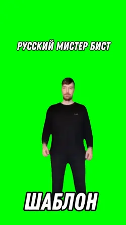 Мистер бист 