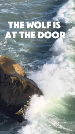 Wolf at the door
