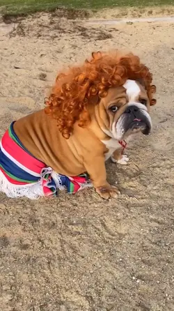 Shakira Shakira 😂🤣