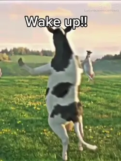 WAKE UPP 🎉
