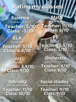 Rating classes