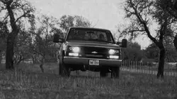 Country 