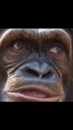meme engraçado anima