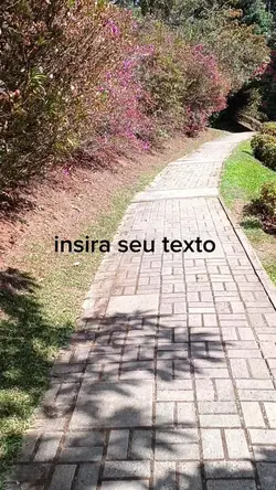 insira seu texto 