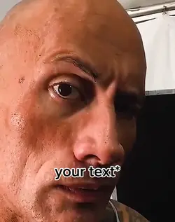 the rock meme 