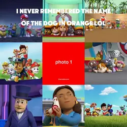 Paw patrol 
