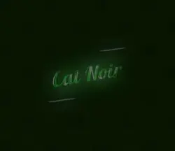 Cat Noir|🐈‍⬛