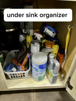 Organization 