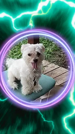 Electric Light show 