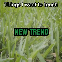 Things I wanna touch