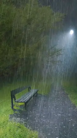 Rain
