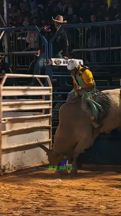 Rodeio status