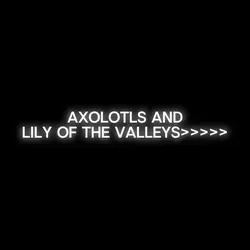 Roi Instrumental 