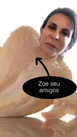 Zoe os amigos frango