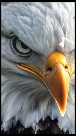 eagle AI
