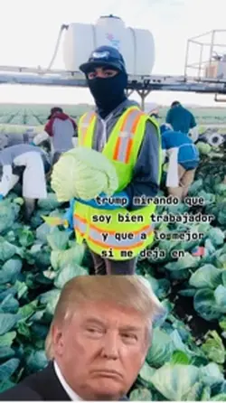 Donal trump