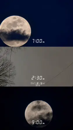 The Moon 