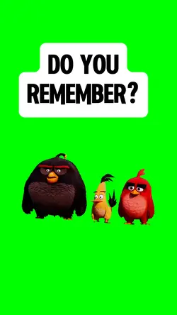 DO YOU REMEMBER