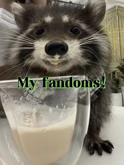 My fandom