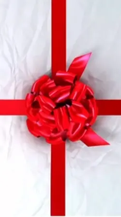 Holiday promo 