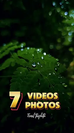 7 videos or photos 