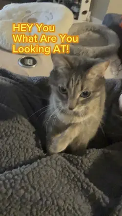 What r u looking at?