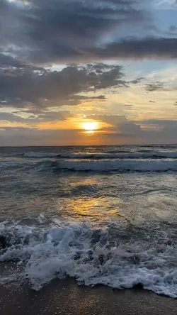 Música/Video