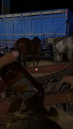Canções de vaqueiro 