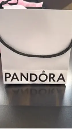 Pandora New Charm