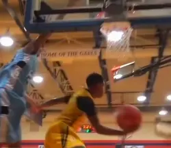 Layup Edit