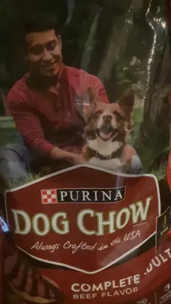 DOG CHOW