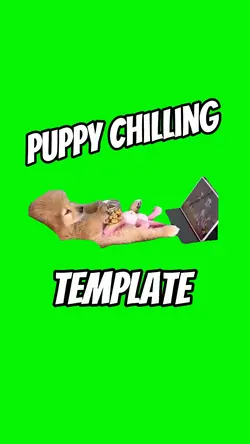 Puppy Chilling 