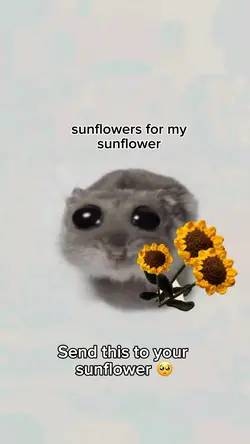 Sunflowe