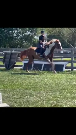 RIDING TDYY