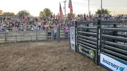 Fair rodeo edit