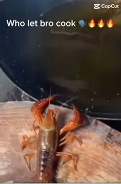 Lobster meme edit