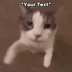 Kiss Meme