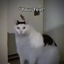 HUHH?