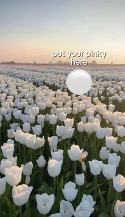 put your pinky here!