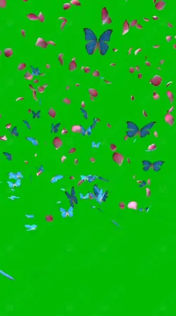 fundo verde 