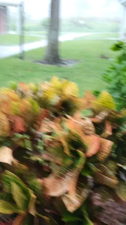 storm