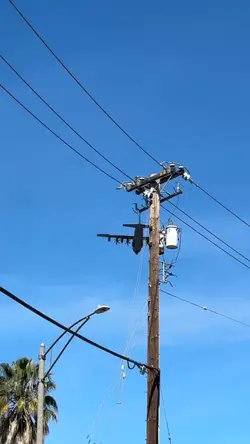 Spring is coming