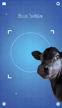 Vaca meme 