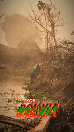 BOLÍVIA SOS