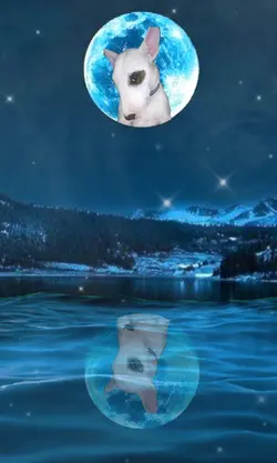 Full Moon Reflection